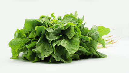 fresh spinach isolated white background