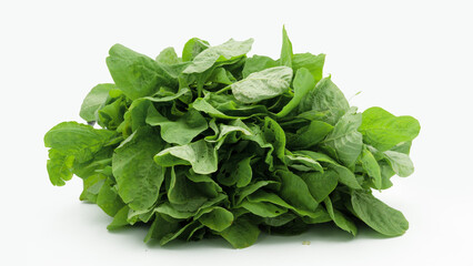 fresh spinach isolated white background