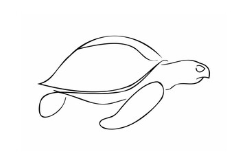 Elegant black line art sea turtle swimming marine life