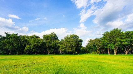 landscape of grass field and green environment public park use as natural background.