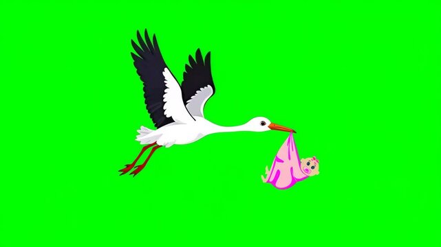 Flying stork carries a newborn baby girl in a pink bundle in its beak,  isolated on green screen, chroma key, footage, mockup, cartoon style, loop