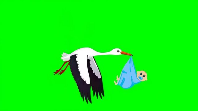 Flying stork carries a newborn baby boy in a blue bundle in its beak, isolated on green screen, chroma key, footage, mockup, cartoon style, loop