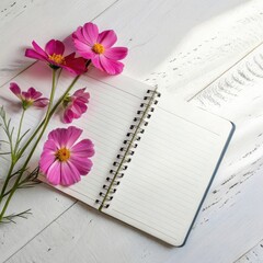 Pink cosmos flowers resting on an open notebook isolated on white background