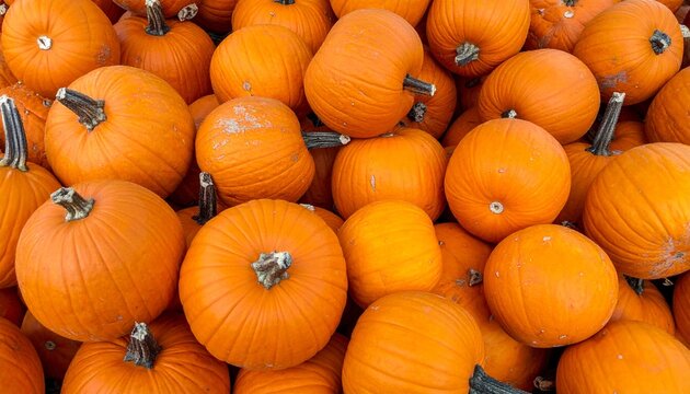 A large pile of bright orange pumpkins, filling the frame, with visible stems and varying sizes.