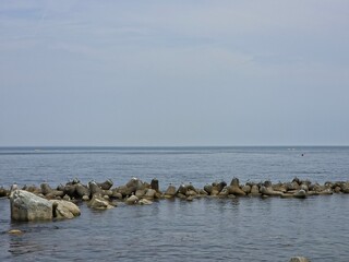 Peaceful natural landscape, sky and sea forming horizon, sea birds, seagulls, calm and beautiful...