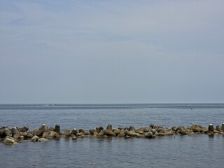 Peaceful natural landscape, sky and sea forming horizon, sea birds, seagulls, calm and beautiful seascape background, Yeongdeok sea, South Korea - 평화로운 자연 풍경, 하늘, 바다, 갈매기, 고요하고 아름다운 바다, 영덕, 한국