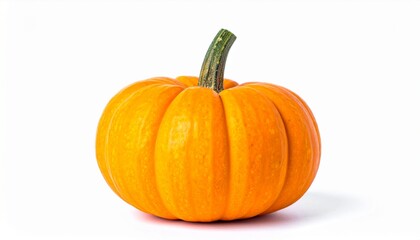 Obraz premium Single, vibrant orange pumpkin, isolated against a plain white background.