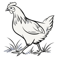 Fototapeta premium Chicken Silhouette Illustration Isolated on White