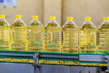 Oil in bottles. Industrial production of sunflower oil. Conveyor line for bottling and packing....