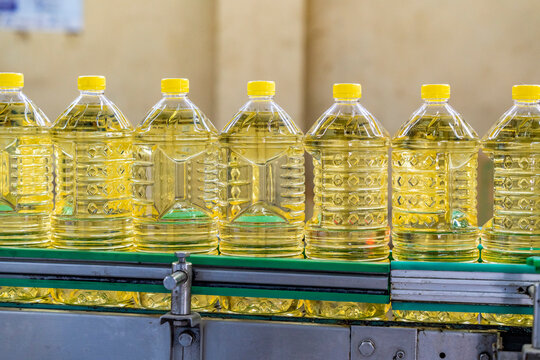 Oil in bottles. Industrial production of sunflower oil. Conveyor line for bottling and packing. Sunflower oil plant.  Bottles of Cooking Oil on Conveyor Belt in Production Line