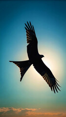 Eagle Silhouette Flying in Sky – Majestic Raptor Against Clean sky or Sunset Background