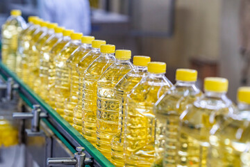 Oil in bottles. Industrial production of sunflower oil. Conveyor line for bottling and packing. Sunflower oil plant. Bottles of Cooking Oil on a Production Line.