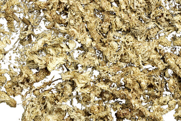 This image source is a photo of dried beige moss, and has transparency so it can be edited.