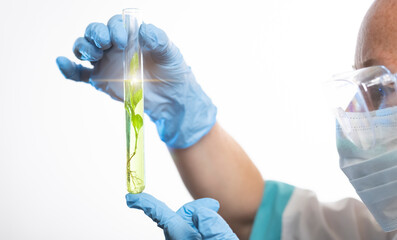 Scientist examines plant specimen in test tube during laboratory research on environmental...
