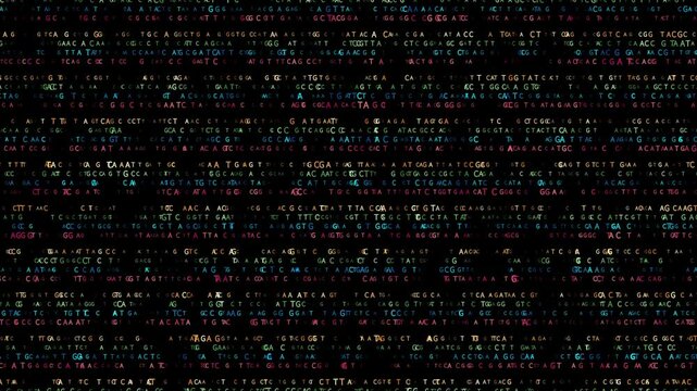 Abstract animation of DNA bases Adenine, Cytosine, Guanine, and Thymine (A, C, G, T), seamless loop on transparent background with alpha channel. Perfect for genetics, biotech, and science projects - Powered by Adobe