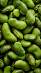 Abundance of Fresh Green Fava Beans, CloseUp Vegetable Harvest