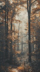 Obraz premium Autumn tree land landscape.