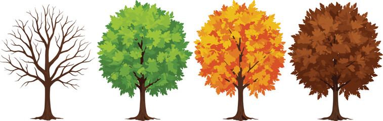 Four season tree evolution illustration, bare tree to lush green, autumn orange, brown fall foliage, nature change concept vector
