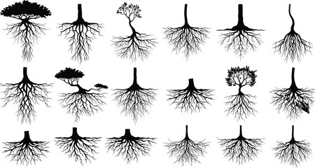 Tree roots silhouette vector collection, underground branching system illustration, natural black root set, organic plant base elements for design