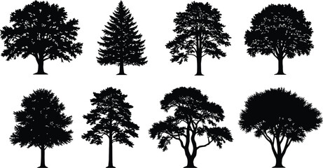 Tree silhouette vector set, isolated black trees, forest elements collection, pine and deciduous shapes, nature outlines for landscape design