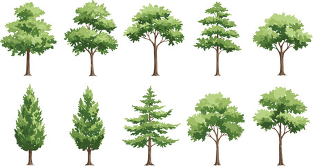 Watercolor green tree collection, hand-painted botanical forest trees, foliage nature illustration, isolated eco plant clipart, spring summer vegetation design