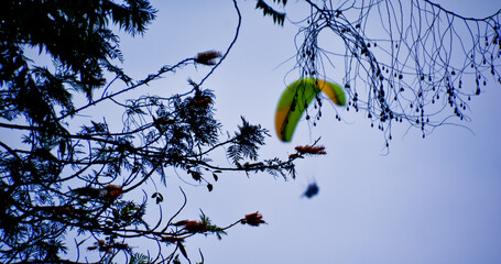 paragliding sport view with a wide sky background