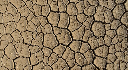 Texture of arid light brown soil with deep irregular cracks