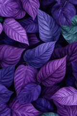 Fototapeta premium Vibrant purple and teal leaves close-up