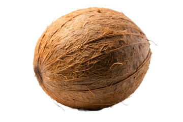 Close Up of Coconut Shell on Transparent Background