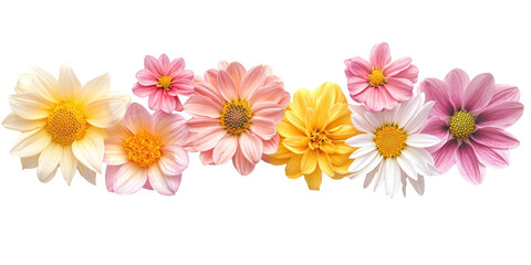 Colorful flower arrangement