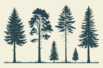 Collection of diverse pine and fir tree silhouettes against a light background