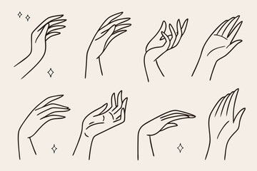 Collection of elegant line art female hands in various poses and gestures