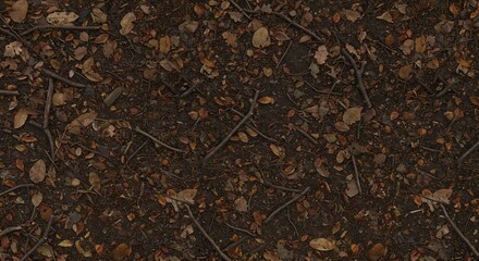 Closeup overhead view of dark forest ground covered in dry brown leaves and scattered twigs