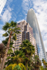 San Francisco's stunning skyscrapers rise against the sky