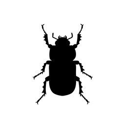 Black silhouette of a beetle insect. A simple flat vector illustration ideal for entomology, science diagrams
