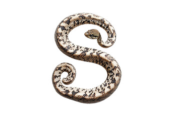 Fototapeta premium Elegant Snake Forming S Shape, Isolated on Transparent PNG