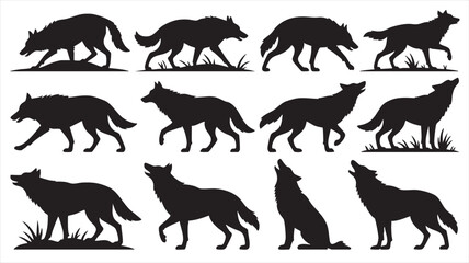 Twelve Black Wolf Silhouettes Various Poses Walking Running Howling Sitting Grass Background Graphic Design Elements