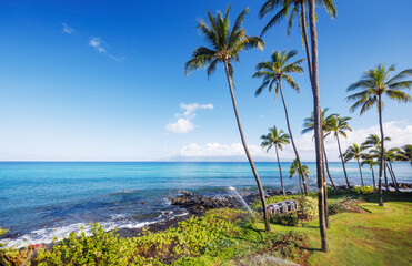 Beautiful Maui landscape in Hawaii