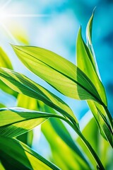 A close up of a green plant with the sun shining through it