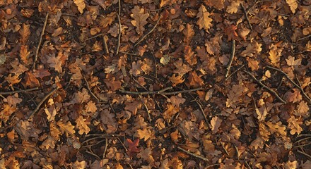 Overhead view of a forest floor covered in fallen brown and orange autumn leaves and dry twigs