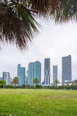 Modern skyline of Miami with towering skyscrapers