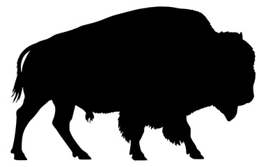 Vector Silhouette Of An American Bison.