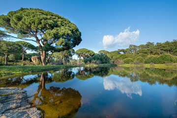 Lake Bafa region. Ancient city Latmos Cavdar Lake.Latmos Cavdar Lake in the Caria region. Latmos Cavdar village Cobantas castle Cavdar Lake. Aydin, Türkiye.