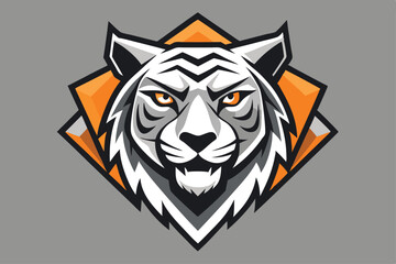 Fierce white tiger head shows bright orange eyes and intense gaze on gray background