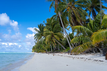 Idyllic white sand beach with coconut trees in Maupiti, French Polynesia