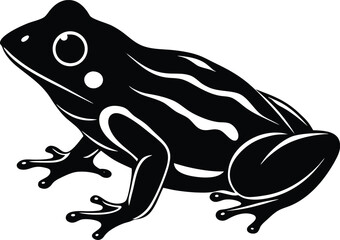 vector illustration of a frog