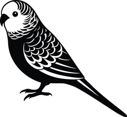 vector illustration of a bird