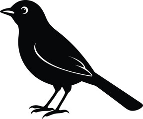vector illustration of a bird