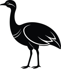 vector illustration of an ostrich