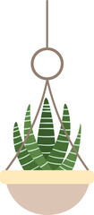 Minimalist illustration of a succulent plant with striped leaves in a hanging pot. The design features a simple, modern aesthetic perfect for home decor inspiration